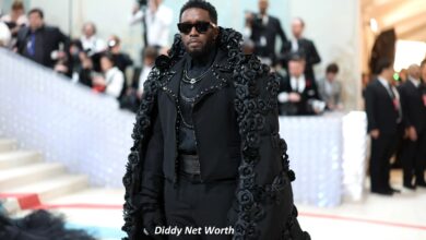 Diddy Net Worth