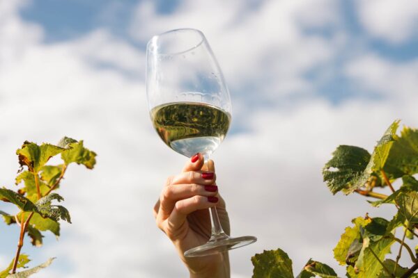 Luxury Wine Explained What Quality Really Means Today