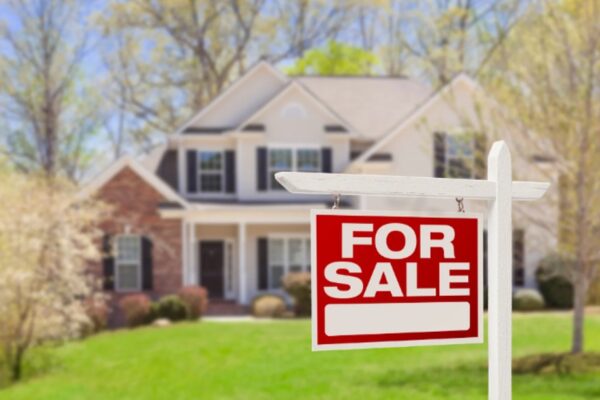 Understand Your Selling Options in Idaho