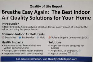 Breathe Easy Again: The Best Indoor Air Quality Solutions for Your Home